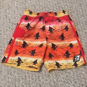 EUC | Laguna Surf Shorts